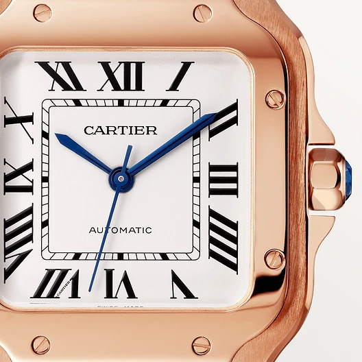 SANTOS DE CARTIER WATCH